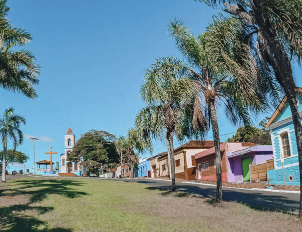 brotaslargosantacruz6